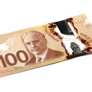 Fake 100 CAD Dollar Counterfeit Bills