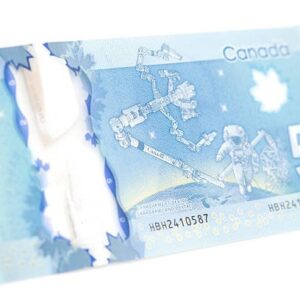 Alternative view of Fake 5 CAD Dollar Counterfeit Bills